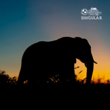 Grande Viagem ao Sul da África