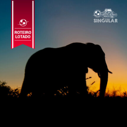 Grande Viagem ao Sul da Africa – África do Sul, Zimbabue, Botsuana e Namibia