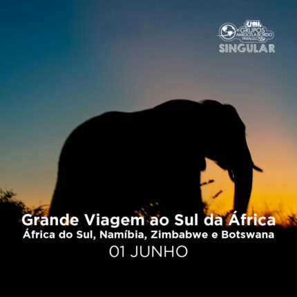 Grande Viagem ao Sul da África